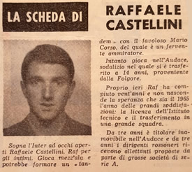 La scheda di Raffaele Castellini